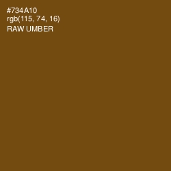 #734A10 - Raw Umber Color Image